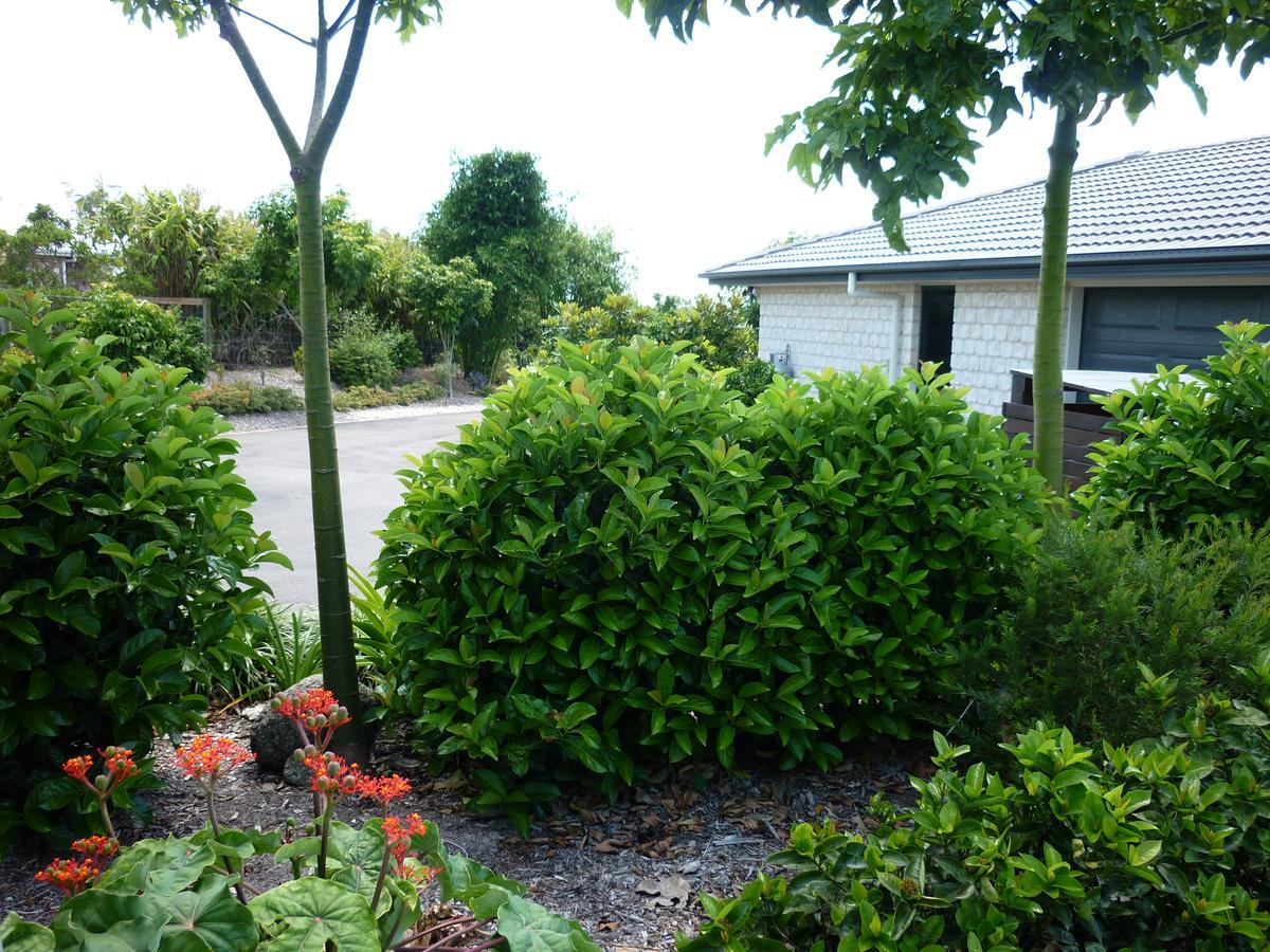 Willowbank Drive Bed & Breakfast מראה חיצוני תמונה