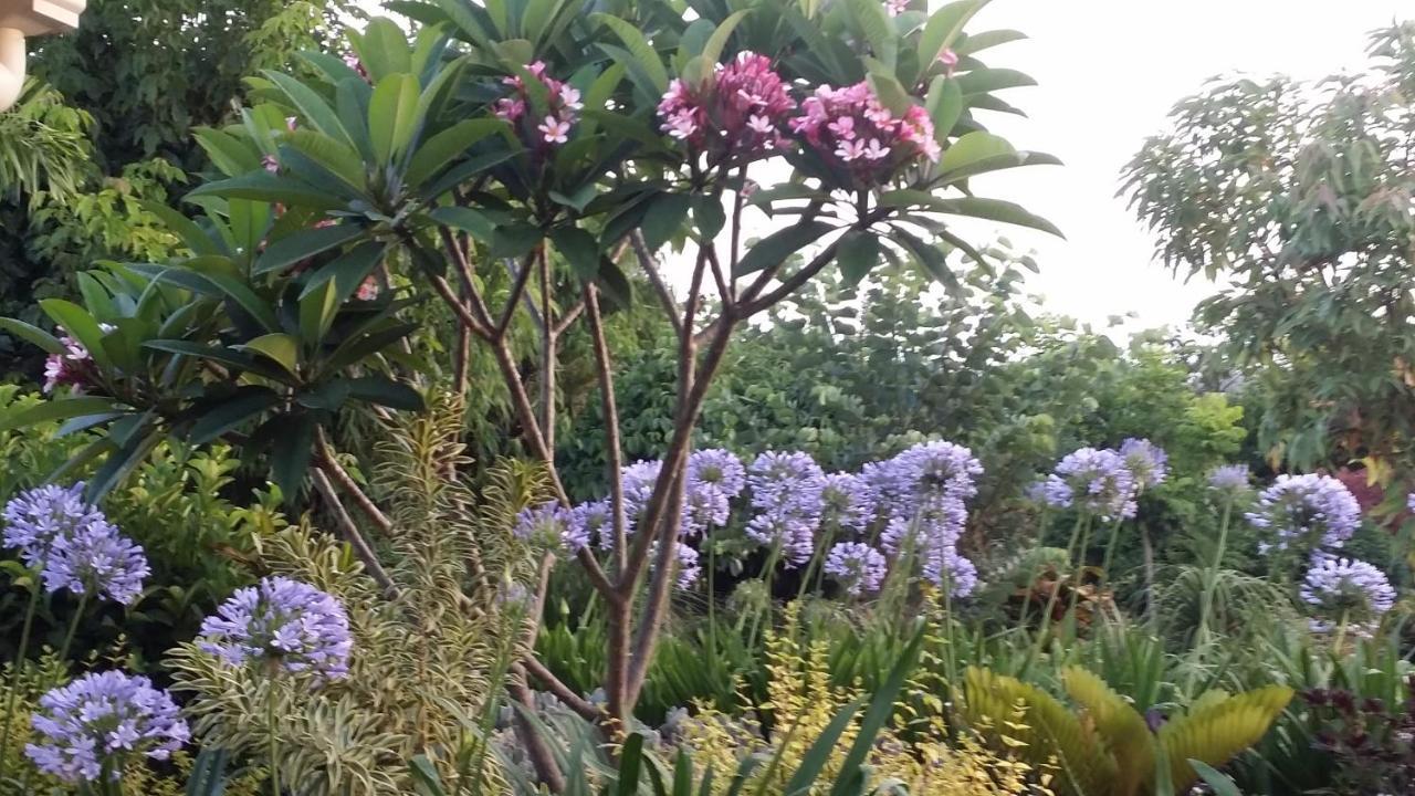 Willowbank Drive Bed & Breakfast מראה חיצוני תמונה